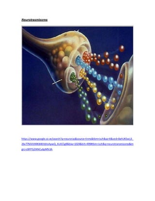 Neurotrasmisores
https://www.google.co.ve/search?q=neuronas&source=lnms&tbm=isch&sa=X&ved=0ahUKEwij3_
26v77NAhXMKB4KHdIoApwQ_AUICCgB&biw=1024&bih=499#tbm=isch&q=neurotransmisores&im
grc=cBPPSjDXNCu6pM%3A
 