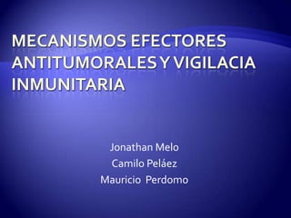 MECANISMOS EFECTORES ANTITUMORALES Y VIGILACIA INMUNITARIA Jonathan Melo Camilo Peláez Mauricio  Perdomo 