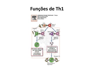Funções de Th1

 