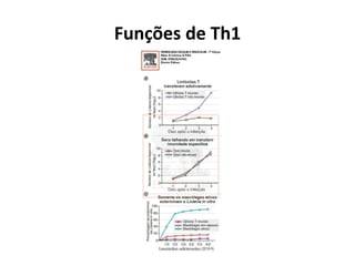 Funções de Th1

 