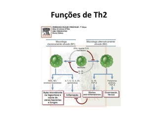 Funções de Th2

 