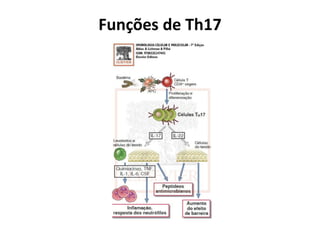 Funções de Th17

 