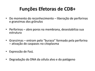 Funções Efetoras de CD8+
• Do momento do reconhecimento – liberação de perforinas
e granzimas dos grânulos
• Perforinas – abre poros na membrana, desestabiliza sua
estrutura
• Granzimas – entram pelo “buraco” formado pela perforina
– ativação de caspases no citoplasma
• Expressão de FasL

• Degradação do DNA da célula alvo e do patógeno

 