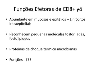 Funções Efetoras de CD8+ γδ
• Abundante em mucosas e epitélios – Linfócitos
intraepiteliais
• Reconhecem pequenas moléculas fosforiladas,
fosfolipídeos
• Proteínas de choque térmico microbianas

• Funções - ???

 