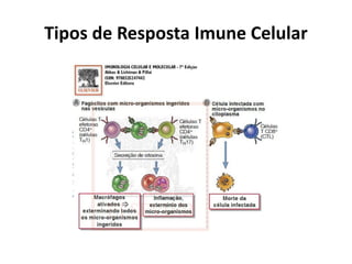Tipos de Resposta Imune Celular

 