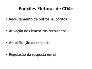 Funções Efetoras de CD4+
• Recrutamento de outros leucócitos
• Ativação dos leucócitos recrutados
• Amplificação da resposta
• Regulação da resposta em si

 