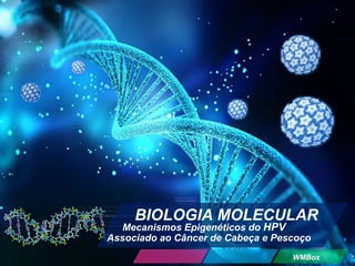 BIOLOGIA MOLECULAR
Mecanismos Epigenéticos do HPV
Associado ao Câncer de Cabeça e Pescoço
WMBox
 