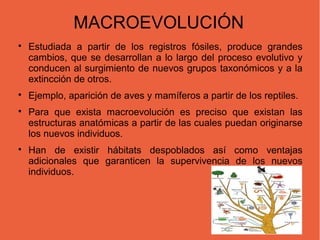 MACROEVOLUCIÓN

    Estudiada a partir de los registros fósiles, produce grandes
    cambios, que se desarrollan a lo largo del proceso evolutivo y
    conducen al surgimiento de nuevos grupos taxonómicos y a la
    extincción de otros.

    Ejemplo, aparición de aves y mamíferos a partir de los reptiles.

    Para que exista macroevolución es preciso que existan las
    estructuras anatómicas a partir de las cuales puedan originarse
    los nuevos individuos.

    Han de existir hábitats despoblados así como ventajas
    adicionales que garanticen la supervivencia de los nuevos
    individuos.
 