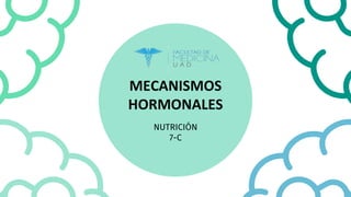MECANISMOS
HORMONALES
NUTRICIÓN
7-C
 