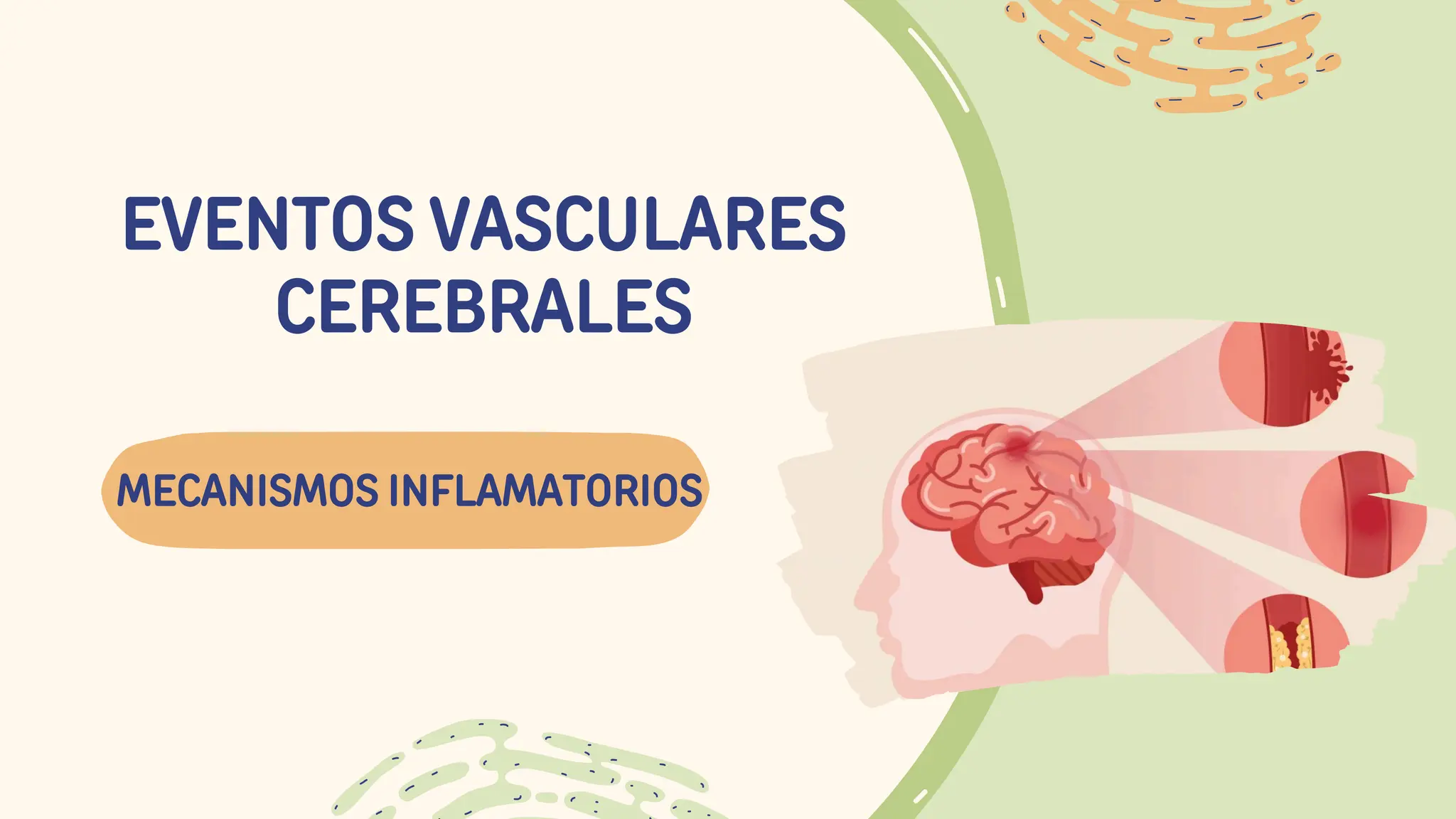 MECANISMOS INFLAMATORIOS, eventos cerebrovasculares | PDF