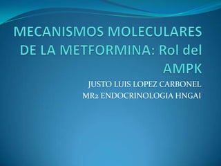 MECANISMOS MOLECULARES DE LA METFORMINA: Rol del AMPK JUSTO LUIS LOPEZ CARBONEL MR2 ENDOCRINOLOGIA HNGAI 