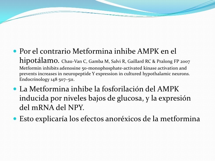 Mecanismos moleculares de la metformina