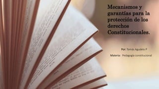 Mecanismos y
garantías para la
protección de los
derechos
Constitucionales.
Por: Tomás Agudelo P
Materia: Pedagogía constitucional
 