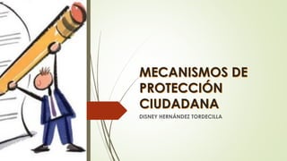 DISNEY HERNÁNDEZ TORDECILLA
 