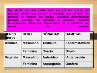 SERES
VIVOS
SEXO GÔNADAS GAMETAS
Animais Masculino Testículo Espermatozoide
Feminino Ovário Óvulo
Vegetais Masculino Anterídeo Anterozoide
Feminino Arquegônio Oosfera
Reprodução sexuada existe tanto em animais quanto em
vegetais, sendo mais comum e evidente nos animais. Os
gametas se formam em órgãos especiais denominados
gônadas sexuais. As gônadas e gametas recebem
denominações diferentes, dependendo de o indivíduo ser
animal ou vegetal.
 