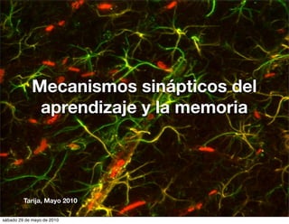 Mecanismos sinápticos del
              aprendizaje y la memoria




         Tarija, Mayo 2010

sábado 29 de mayo de 2010
 
