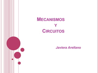 Mecanismos                      y               Circuitos                               Javiera Arellano 