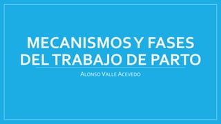 MECANISMOSY FASES
DELTRABAJO DE PARTO
ALONSO VALLE ACEVEDO
 