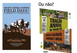 Ou não?
 
