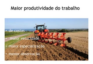 Maior produtividade do trabalho
• de costas
• maior velocidade
• maior especialização
• menor observação
 