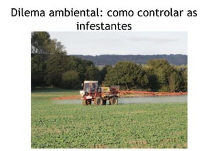 Dilema ambiental: como controlar as
infestantes
 