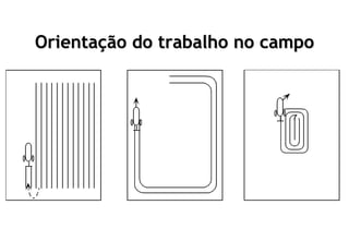 Orientação do trabalho no campo
 