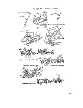 Ing. Agro. MSc Guillermo Ojeda Lòpez

398

 