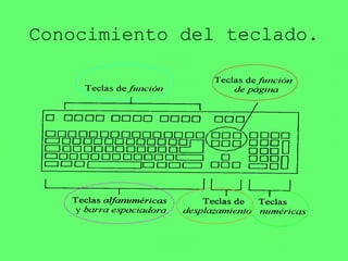 Conocimiento del teclado.
 