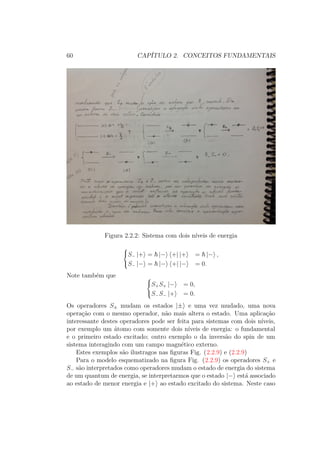 60 CAPÍTULO 2. CONCEITOS FUNDAMENTAIS
Figura 2.2.2: Sistema com dois níveis de energia



S− |+ = |− +| |+ = |− ,
S− |− = |− +| |− = 0.
Note também que 


S+S+ |− = 0,
S−S− |+ = 0.
Os operadores S± mudam os estados |± e uma vez mudado, uma nova
operação com o mesmo operador, não mais altera o estado. Uma aplicação
interessante destes operadores pode ser feita para sistemas com dois níveis,
por exemplo um átomo com somente dois níveis de energia: o fundamental
e o primeiro estado excitado; outro exemplo o da inversão do spin de um
sistema interagindo com um campo magnético externo.
Estes exemplos são ilustragos nas figuras Fig. (2.2.9) e (2.2.9)
Para o modelo esquematizado na figura Fig. (2.2.9) os operadores S+ e
S− são interpretados como operadores mudam o estado de energia do sistema
de um quantum de energia, se interpretarmos que o estado |− está associado
ao estado de menor energia e |+ ao estado excitado do sistema. Neste caso
 