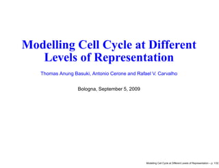 Modelling Cell Cycle at Different
   Levels of Representation
   Thomas Anung Basuki, Antonio Cerone and Rafael V. Carvalho


                  Bologna, September 5, 2009




                                               Modelling Cell Cycle at Different Levels of Representation – p. 1/3
 