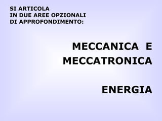SI ARTICOLA IN DUE AREE OPZIONALI DI APPROFONDIMENTO: MECCANICA  E MECCATRONICA ENERGIA 