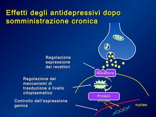Effetti degli antidepressivi dopoEffetti degli antidepressivi dopo
somministrazione cronicasomministrazione cronica
RecettoreRecettore
ProteinProtein
chinasichinasi
nucleonucleo
effettoreeffettore
RegolazioneRegolazione
espressioneespressione
dei recettoridei recettori
Controllo dell’espressioneControllo dell’espressione
genicagenica
Regolazione deiRegolazione dei
meccanismi dimeccanismi di
trasduzione a livellotrasduzione a livello
citoplasmaticocitoplasmatico
 