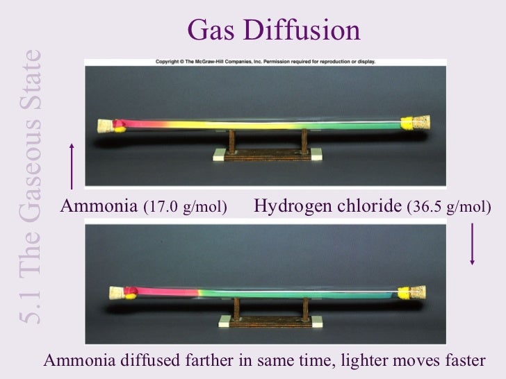 diffusion of ammonia and hydrogen chloride
