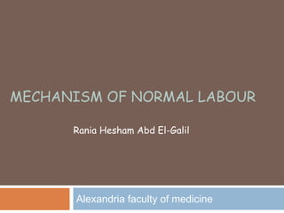 MECHANISM OF NORMAL LABOUR
Alexandria faculty of medicine
Rania Hesham Abd El-Galil
 