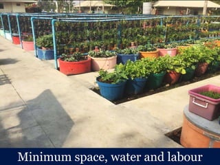 Minimum space, water and labour
 