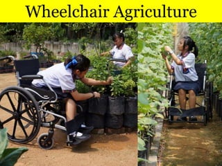 Wheelchair Agriculture
 