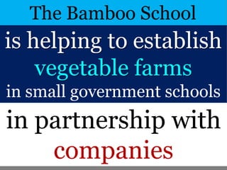 is helping to establish
vegetable farms
in small government schools
The Bamboo School
in partnership with
companies
 