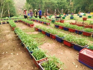 Village Development Partnership 123
 