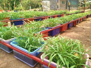 Village Development Partnership 124
 