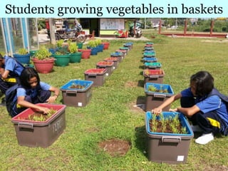 Village Development PartnershipVillage Development Partnership 125
Students growing vegetables in baskets
 