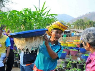 Village Development Partnership 128
 