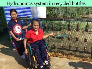 Hydroponics system in recycled bottles
 