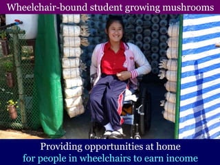 Wheelchair-bound student growing mushrooms
Providing opportunities at home
for people in wheelchairs to earn income
 