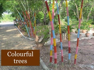Colourful
trees
 