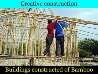 Buildings constructed of Bamboo
Creative construction
 