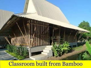 Classroom built from Bamboo
 