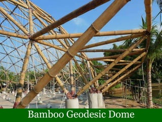 Bamboo Geodesic Dome
 