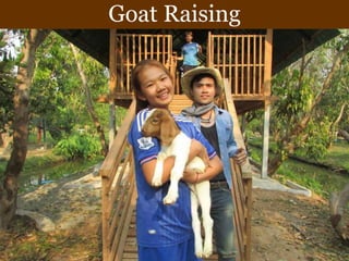 Goat Raising
 