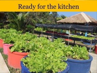 Ready for the kitchen
 