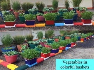 Village Development Partnership 93
Vegetables in
colorful baskets
 